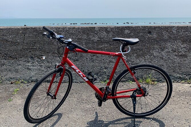 rental-hybrid-bikes-at-shizuoka-station-24-gears-not-e-bikes