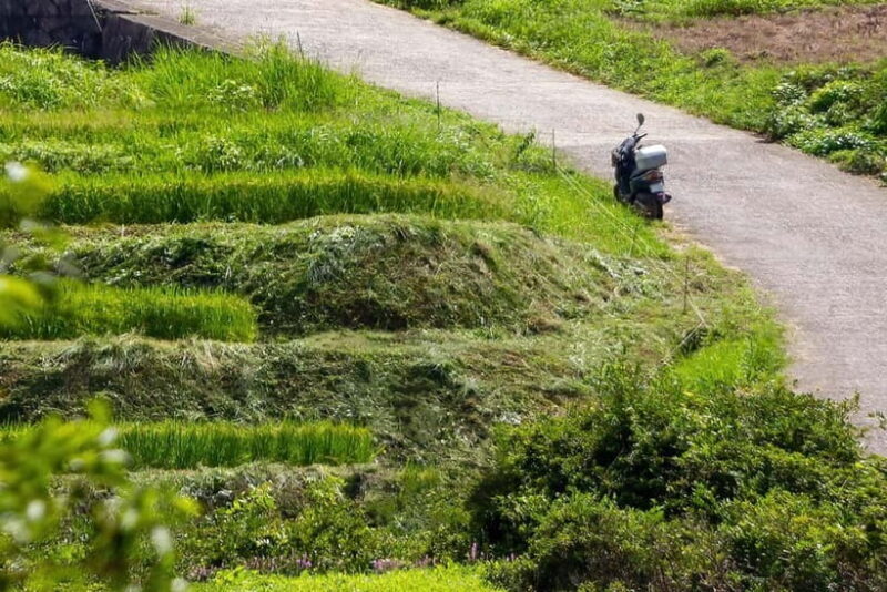Rental Motorcycle Tour in Kyoto: Arashiyama & West Temple - Who Is This Tour For?