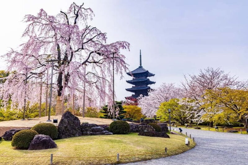 Rental Motorcycle Tour in Kyoto: South & East Heritage - Frequently Asked Questions