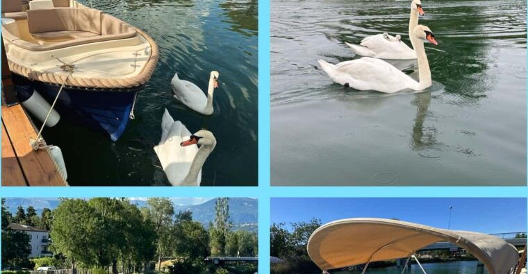 rental-of-electric-boats-without-a-license
