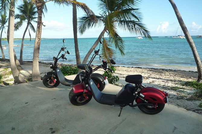 rental-of-electric-scooters