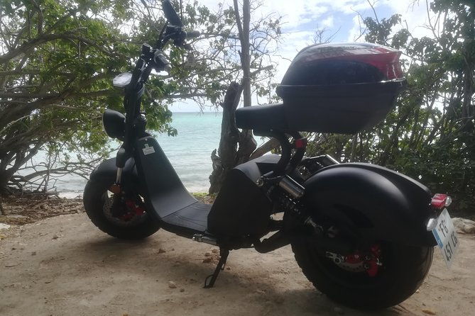rental-of-electric-scooters