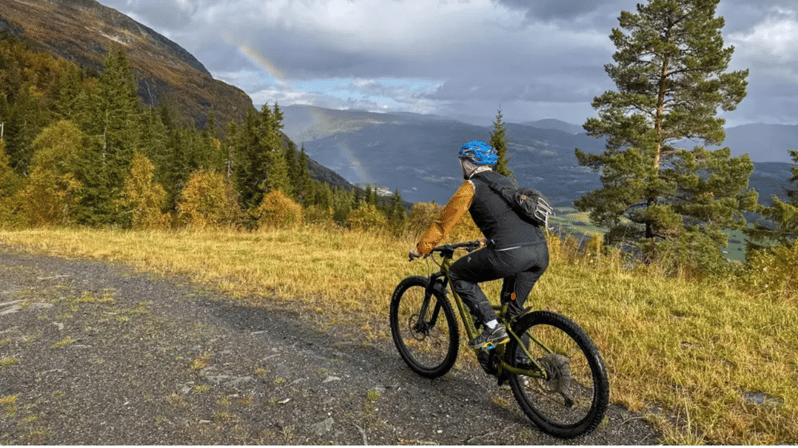 rentals-e-mountain-bike-full-suspension