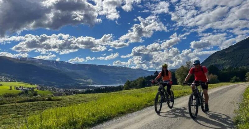 rentals-mountain-bike-full-suspension