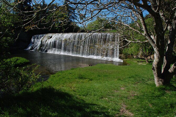 Rere Falls & Eastwoodhill Arboretum Tour with Refreshments - The Sum Up