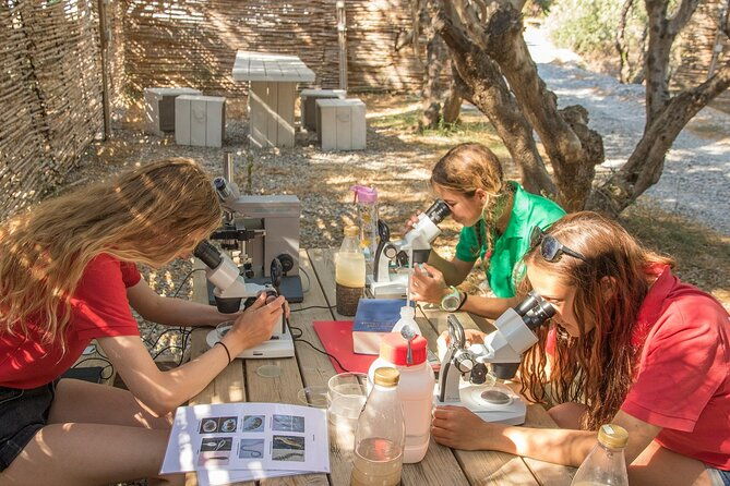 research-diving-with-a-marine-biologist-in-crete