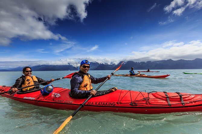 Resurrection Bay Kayaking Adventure - Exploring the Details: What the Experience Looks Like