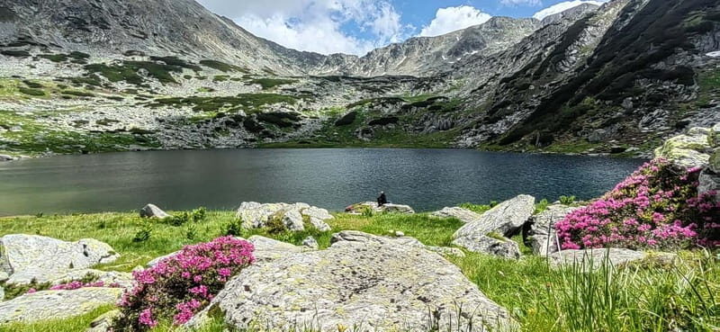 Retezat National Park: Full day hike from Cluj Napoca - Exploring the Retezat National Park: Full Day Hike from Cluj Napoca