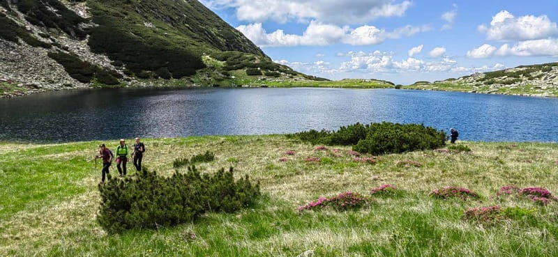 Retezat National Park: Full day hike from Cluj Napoca - What the Reviews Say