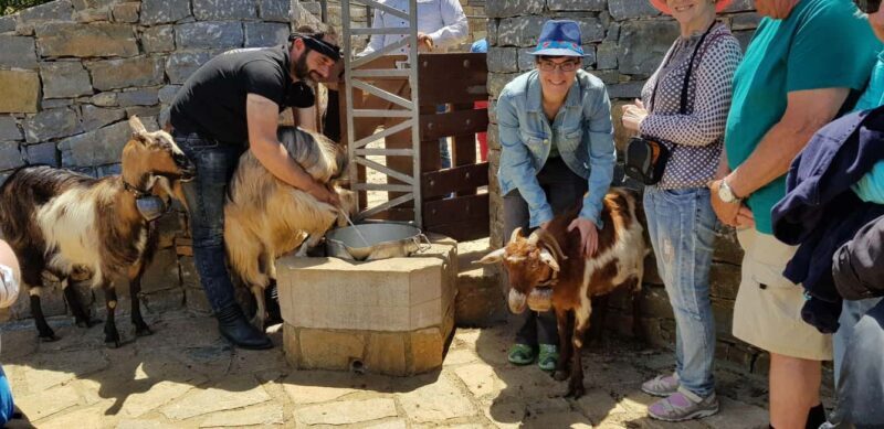 Rethymno Bal & Panormo:Cretan Experience TourSpecial Lunch - An In-Depth Look at the Crete Experience Tour