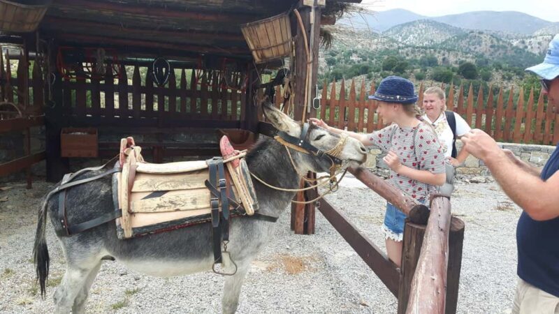 Rethymno Bal & Panormo:Cretan Experience TourSpecial Lunch - Frequently Asked Questions