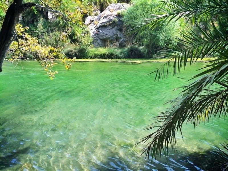 Rethymno/Chania: Preveli Beach and Kourtaliotiko Gorge Tour - The Sum Up