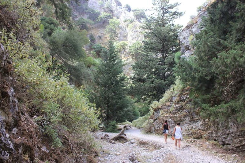 Rethymno: Imbros Gorge and Frangokastello Beach Hiking Tour - The Experience from Reviews