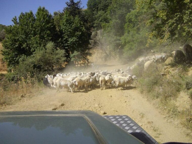 rethymno-land-rover-safari-in-southwest-crete