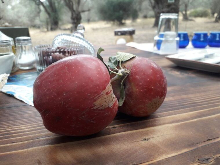 rethymno-olive-oil-tasting-with-cretan-food-pairing