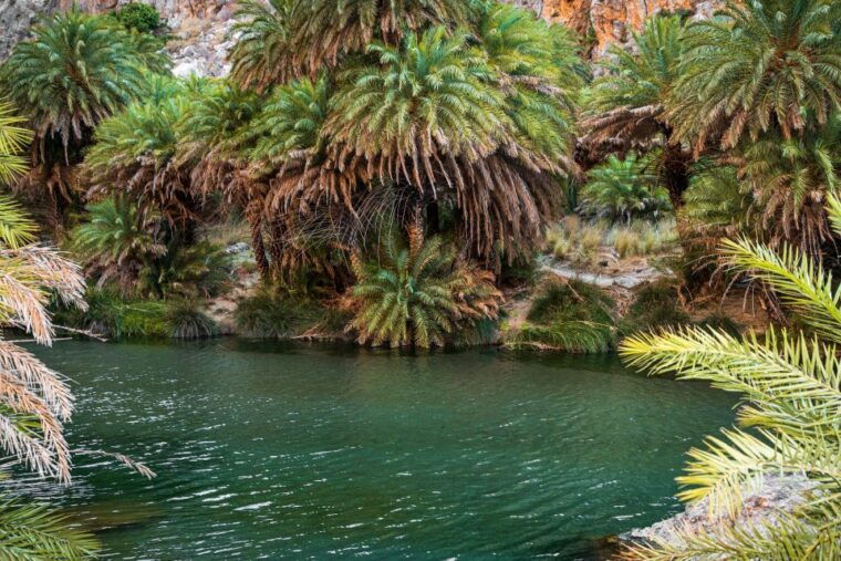 rethymno-preveli-beach-damnoni-beach-kourtaliotiko-day-trip