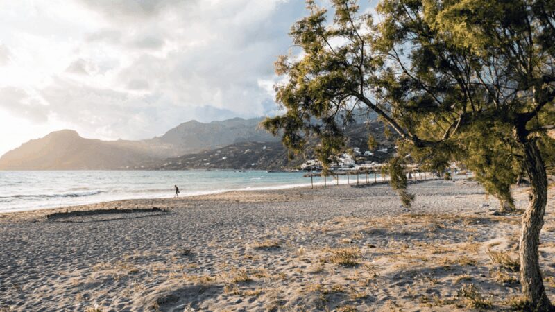 Rethymno: Preveli Palms, Damnioni Beach & Plakias Villlage - The Sum Up