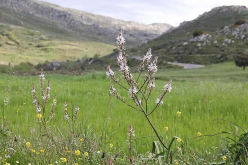 Rethymno: Private SUV Tour South Cretes Villages & Nature - Detailed Breakdown of the Experience