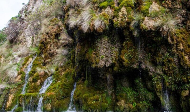 Rethymno Private Tour to Kourtaliotiko Gorge & Kalypso Beach - Why This Tour Offers Good Value