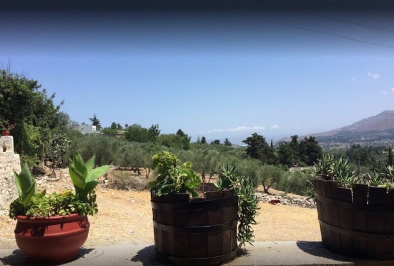 Rethymno: Private Winery & Olive Oil Tasting Tour with Lunch - Key Points