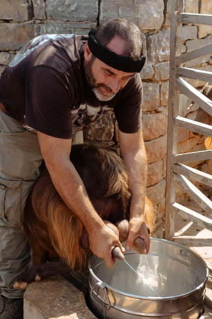 Rethymno: Shepherd For A Day - Rethymno: Shepherd For A Day – An Authentic Taste of Crete