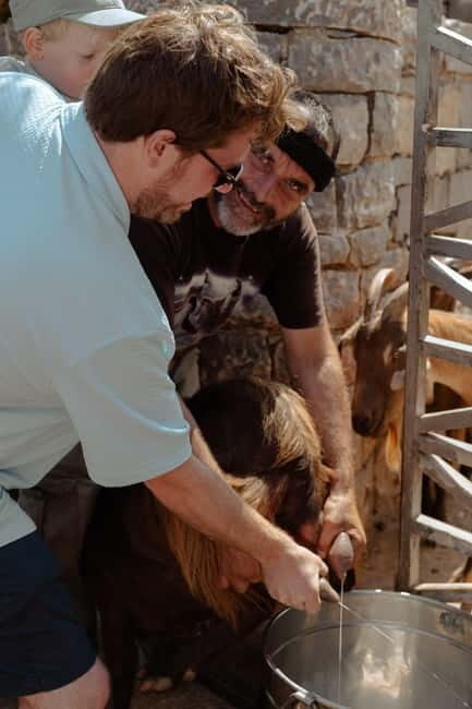 Rethymno: Shepherd For A Day - Key Points