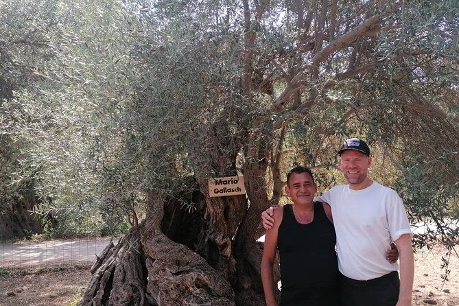 rethymnon-olive-tree-sponsorship-protect-and-plant-tour