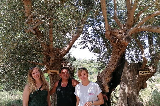 rethymnon-olive-tree-sponsorship-protect-and-plant-tour