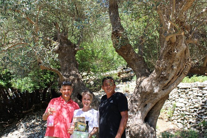 rethymnon-olive-tree-sponsorship-protect-and-plant-tour