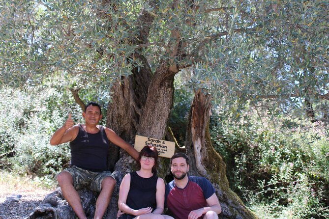 rethymnon-olive-tree-sponsorship-protect-and-plant-tour
