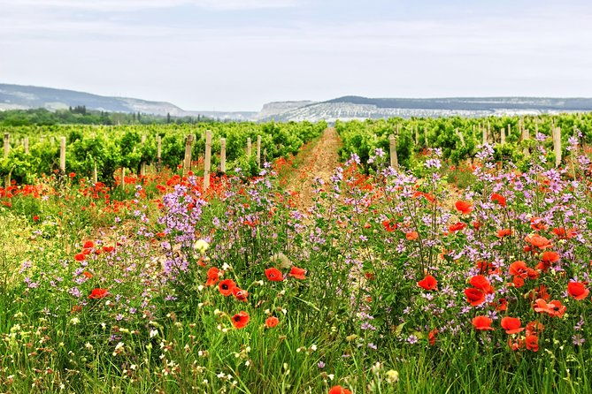 retsina-wine-create-your-private-athens-wine-tour