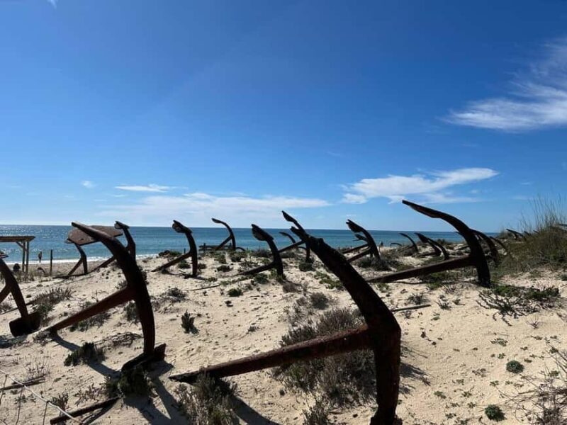 Return bike tour from Tavira to Olhão - Why This Tour Is Worth Considering