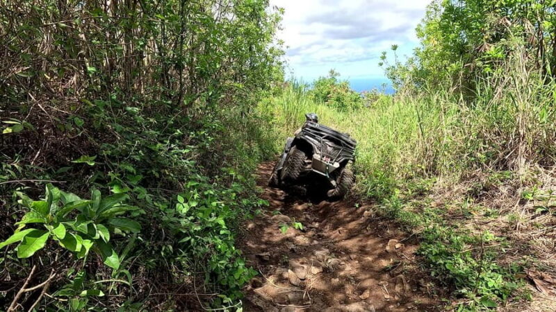 Reunion Island: 4-hour quad bike tour with lunch - Who Will Most Enjoy This Experience?