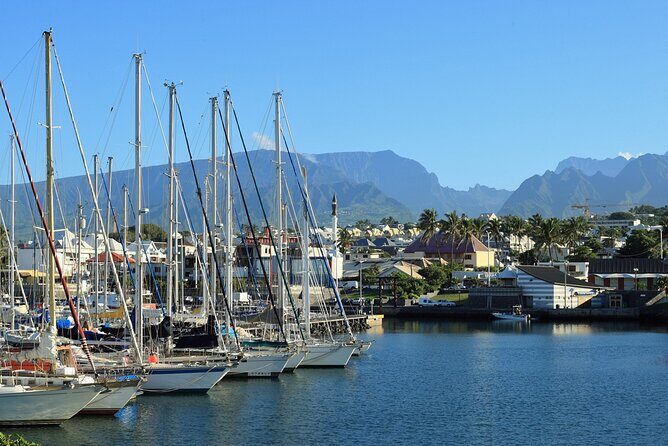 Reunion Island: 8-Hour Private Tour Through 8 Inescapable Sites - Who Will Love This Tour?