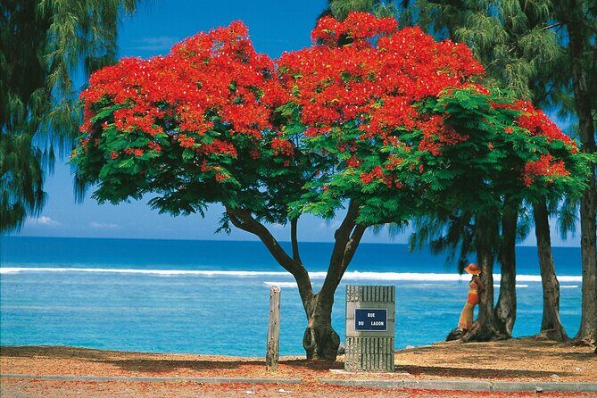 Reunion Island: 8-Hour Private Tour Through 8 Inescapable Sites - FAQ
