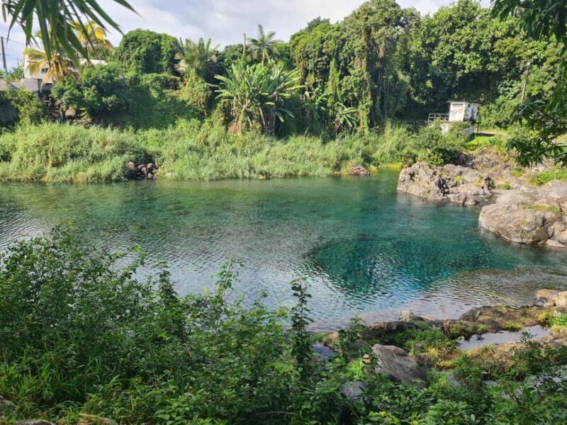 Reunion Island: Full-Day Tour for 4 personels - An Authentic and Customizable Day on La Réunion
