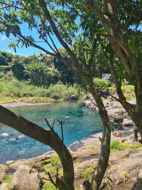 Reunion Island: Full-Day Tour for 4 personels - Who Will Love This Tour?