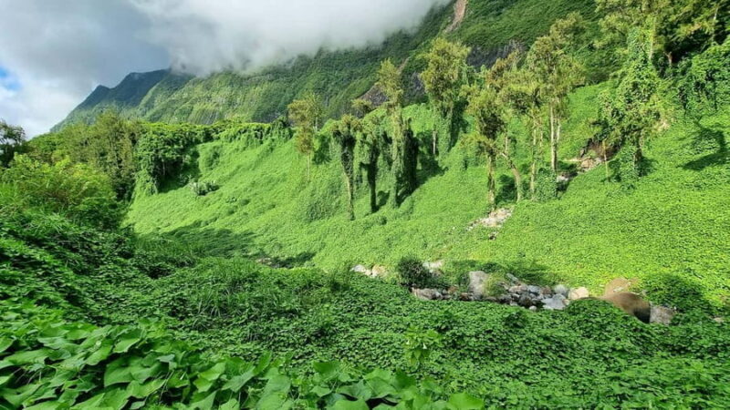 Reunion Island : Guided tour to the Salazie with lunch - Who Is This Tour Best Suited For?  