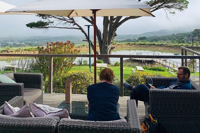 Revel in the Cape Peninsula (Penguins & Cape of Good Hope) - Cape Point Vineyards: Wine, Food, and Views