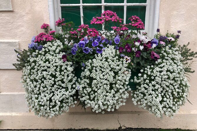 revolutionary-charleston-walks-history-walking-tour