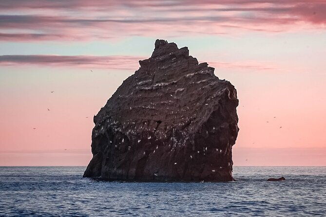 reykjanes-peninsula-private-tour-iceland-2