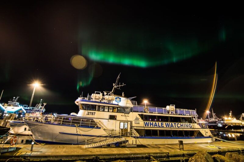 reykjavik-2-hour-northern-lights-by-boat-with-backup-plan