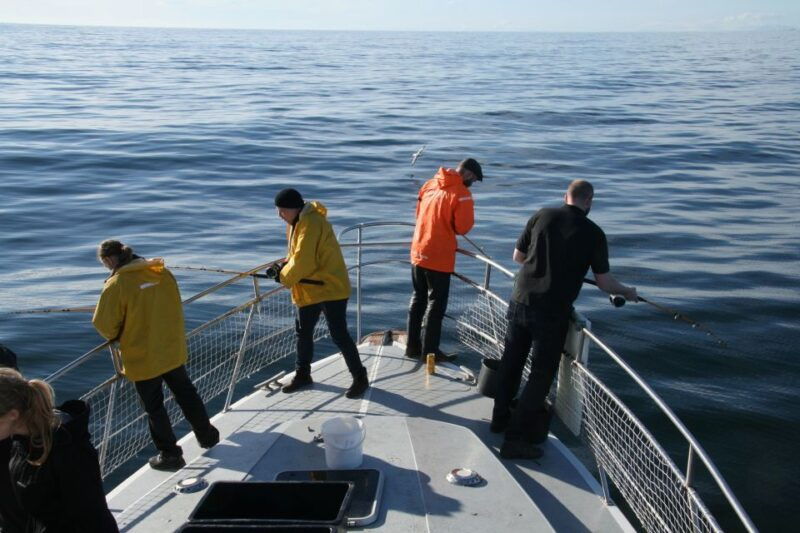 reykjavik-3-hour-sea-angling-gourmet-experience-tour