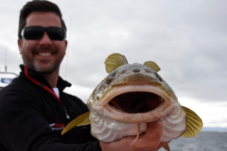 reykjavik-3-hour-sea-angling-gourmet-experience-tour