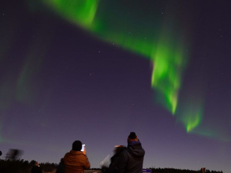 reykjavik-aurora-minibus-w-pro-photos-free-retry