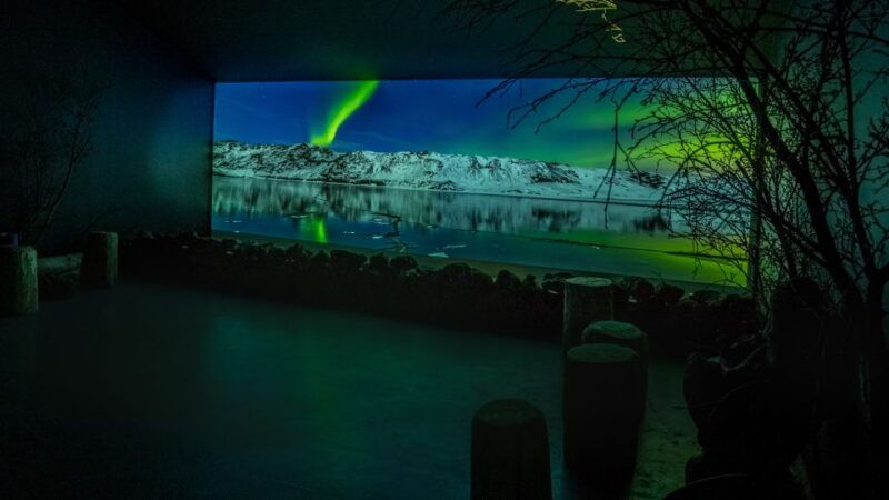 reykjavik-aurora-reykjavik-the-northern-lights-center-entry