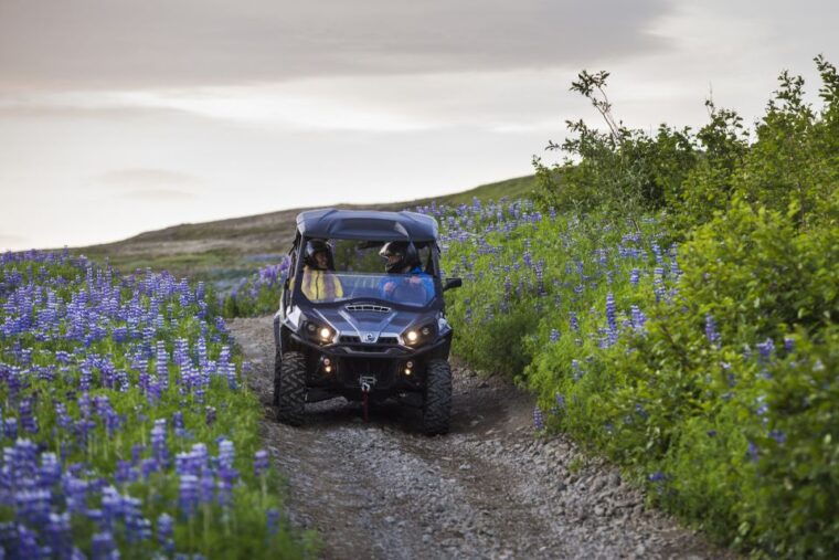 reykjavik-buggy-safari-tour-with-hotel-transfers