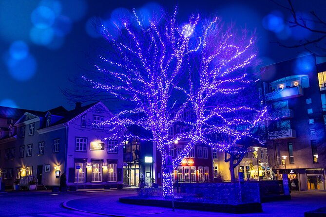 reykjavik-christmas-walking-tour-2