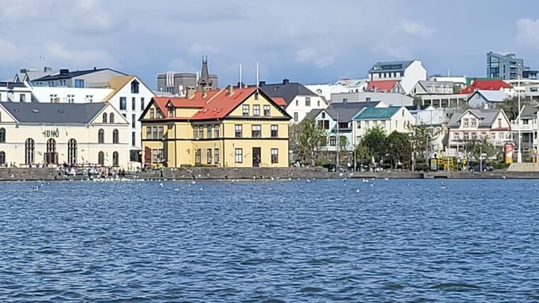 reykjavik-city-private-tour-hallgrimskirkja-perlan-more