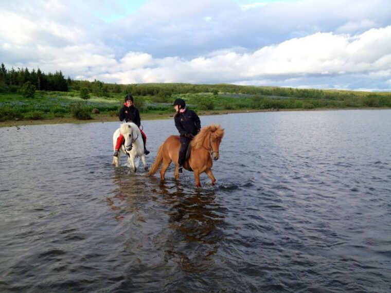 reykjavik-evening-sleipnir-horse-riding-tour-with-pickup